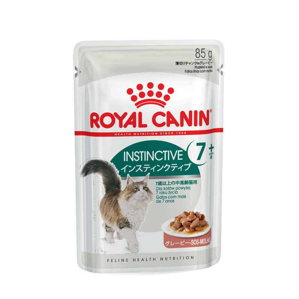 ロイヤルカナン CANIN キャットフード プロ用 8kg ロイヤルカナン